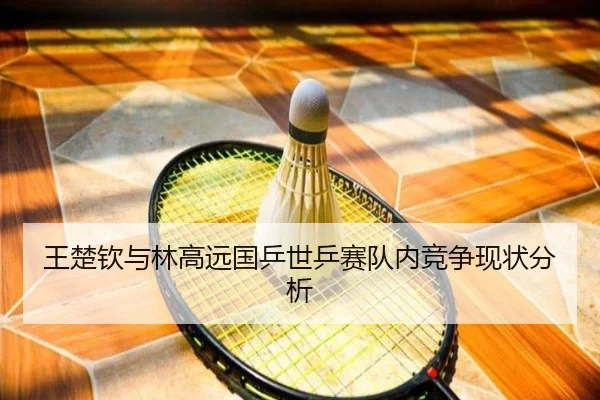 王楚钦与林高远国乒世乒赛队内竞争现状分析